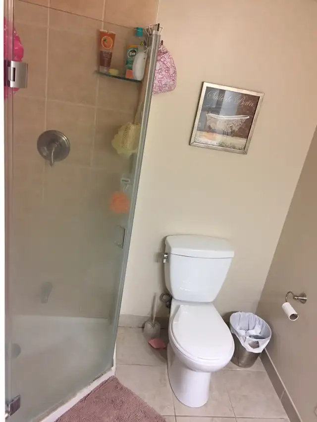 Room for Rent near Humber College North Campus - $900 /m in Room Rentals & Roommates in City of Toronto - Image 10