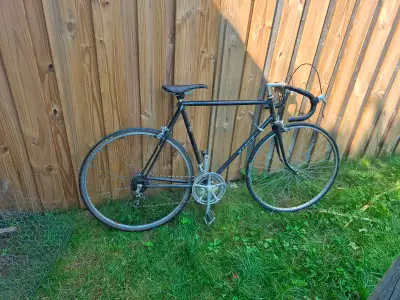 Tuned Norco Monterey road bicycle, View more