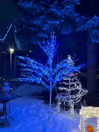Christmas tree Light, View more