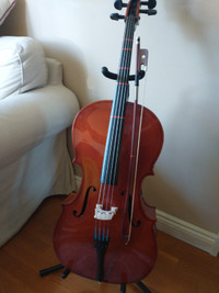 1/4 size cello