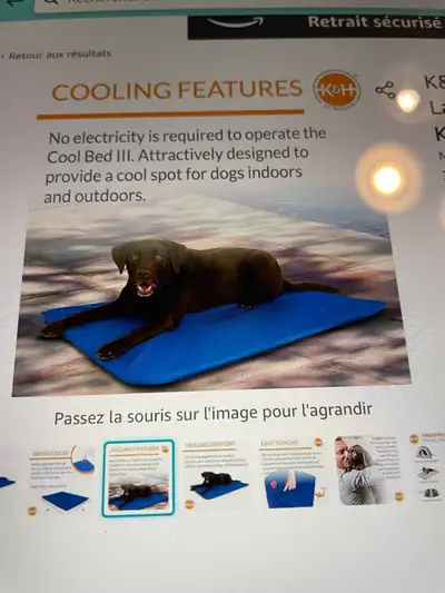 Lit refroidisseur pour chien (Large), View more
