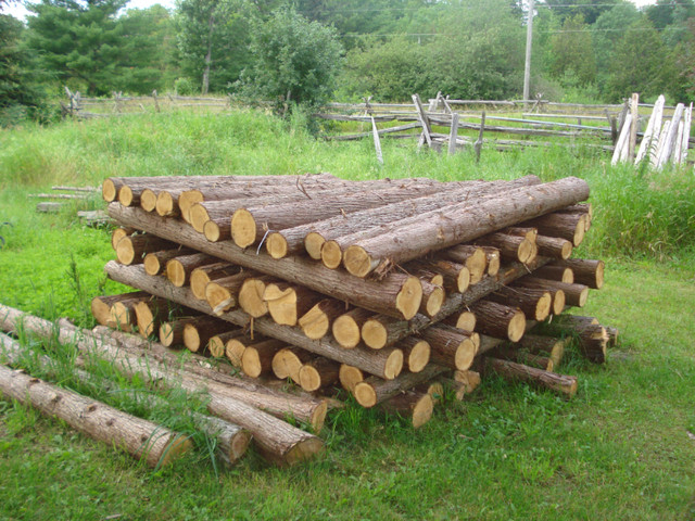 Cedar Posts for Sale in Decks & Fences in Cornwall