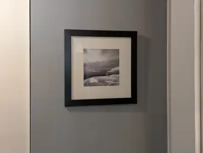 Framed Black and White Landscape Print, View more
