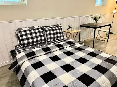 One bright bed room in the half basement apartment with separate entrance for rent in Scarborough. F...