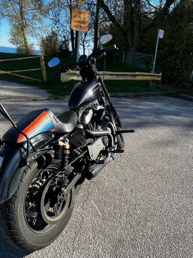 2010 Harley Davidson Nightster 1200 XL in Sport Touring in City of Toronto - Image 4