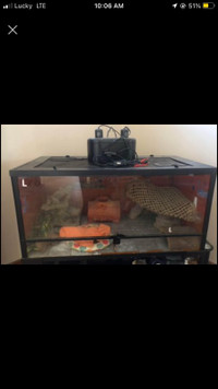 40 gallon reptile tank