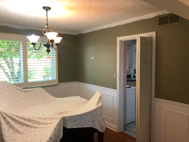 Local Interior Painter in Painters & Painting in St. Catharines - Image 4