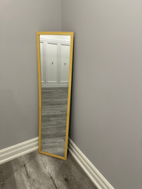 Door Mirror