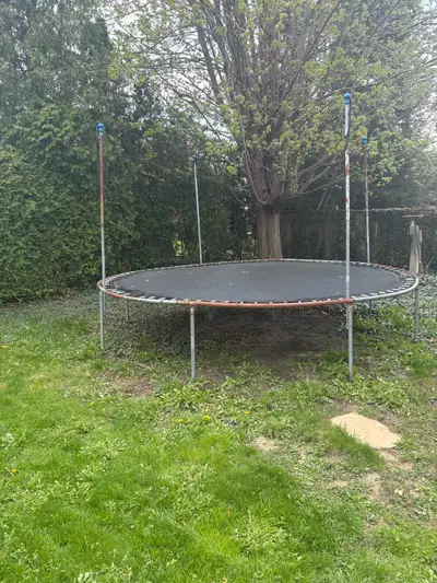 Free trampoline , View more