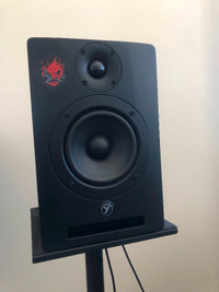 Yorkville YSM5 Studio Monitors, with stands and XLR 470$ OBO