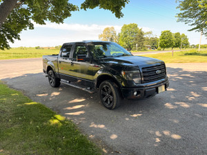 2014 Ford F 150 Supercrew FX4