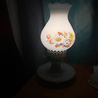 Decorative lamp - $30