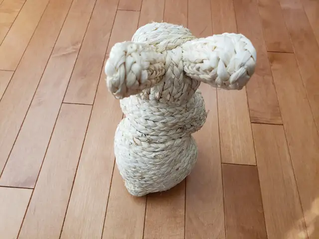 Bunny rabbit decorative571967897653094402