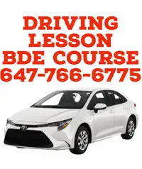 driving instructor 