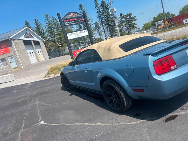 2008 mustang convertible in Cars & Trucks in Kawartha Lakes - Image 4