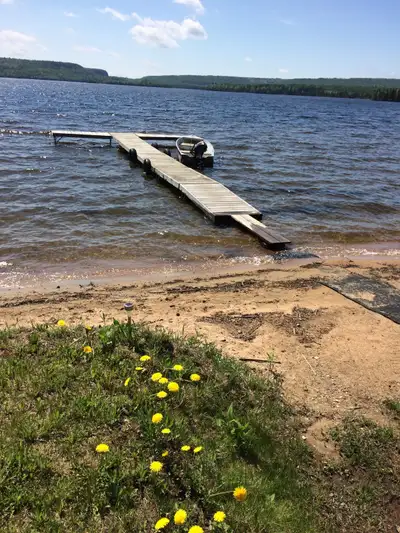 44' long dock plus 2 sections for a "T", plus a ramp, with pressure treated drop in decking. $600.