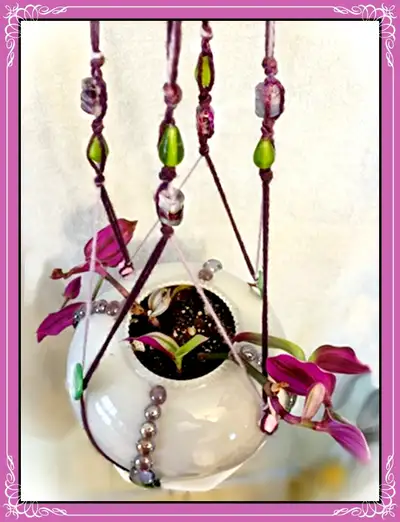 UNIQUE HANGING PLANTER, View more