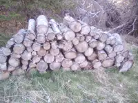 Free Blocked Wood