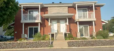 Style condo - Dans un immeuble de 4 logements - Construction 2015. 2ième plancher. Dimension totale...