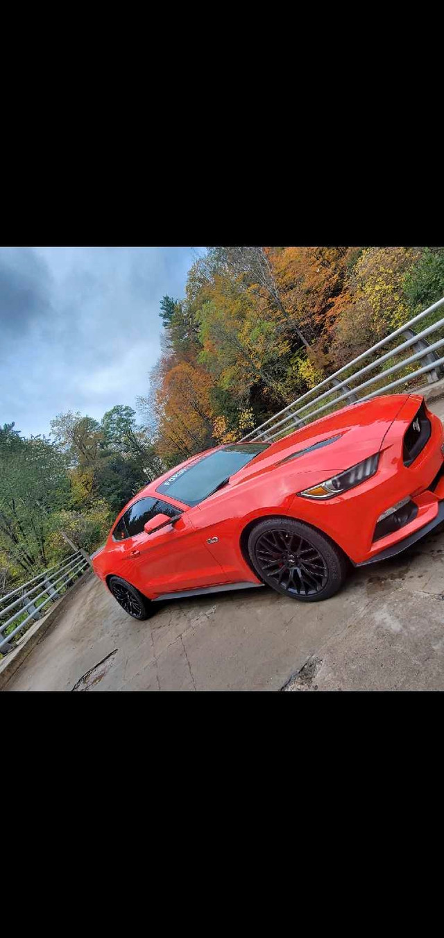 2016  Mustang Gt   PP1 in Cars & Trucks in City of Toronto - Image 3