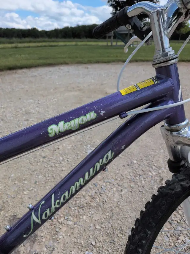 Nakamura Meyou 20-inch Bicycle in Kids in Owen Sound - Image 3