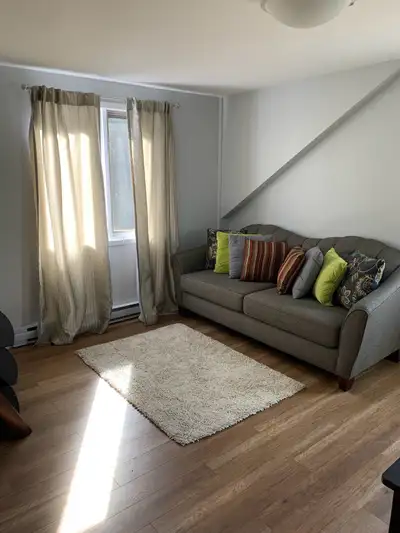 Single rooms for female students or for the female professionals only. One room with queen size bed,...