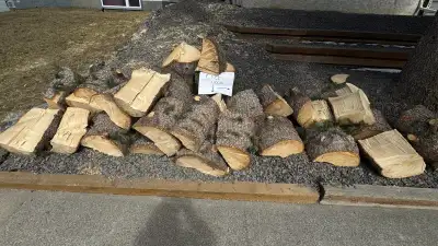 Free wood, View more