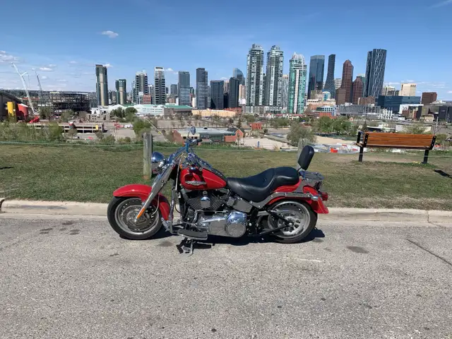 2008 Harley Davidson Fatboy in Street, Cruisers & Choppers in Calgary - Image 7
