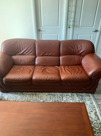 Leather Furniture Set