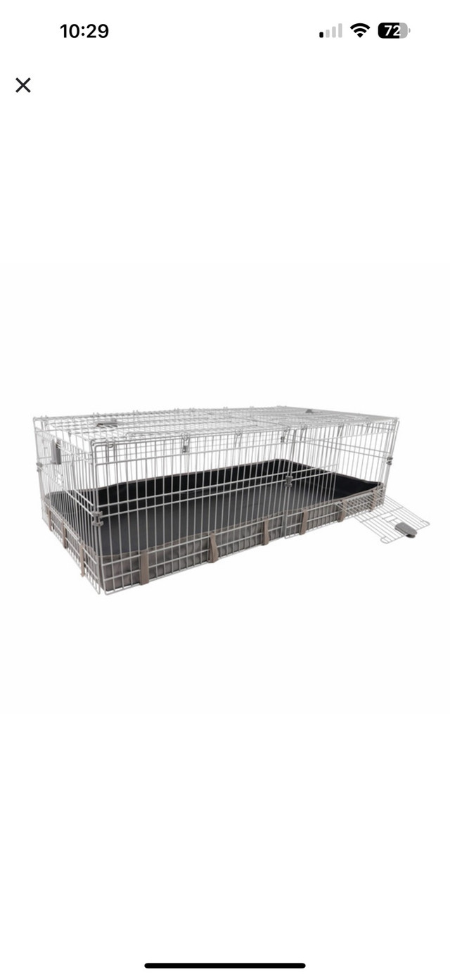 guinea pig/ rabbit cage in Other in Kingston