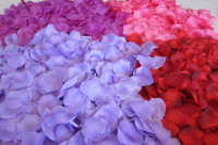 Affordable silk rose petals