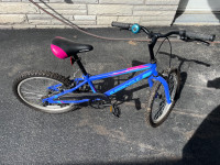 20 “ supercylce charge bike excellent condition 