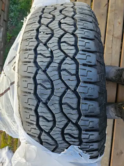 m+s tires for sale low kms $200.00 per tire steel of a deal