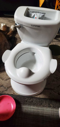 Potty training toilet