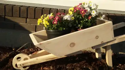 Newly crafted one at a time from beautiful, natural pine, our Wheelbarrow Planters will surely add t...