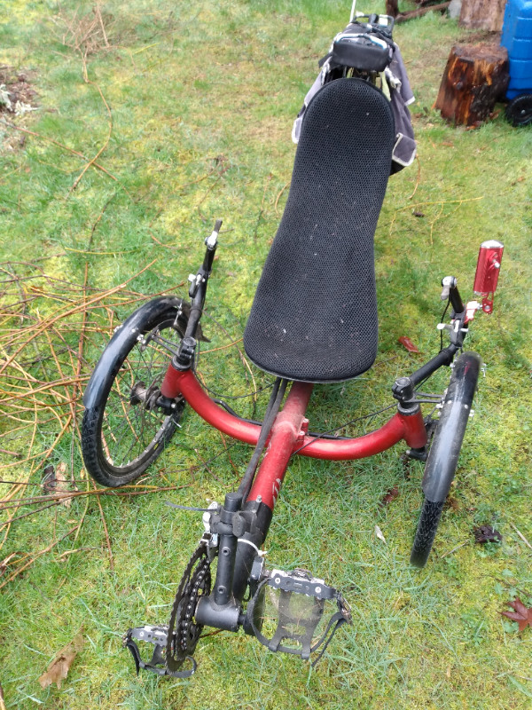 Recumbent bike in Road in Comox / Courtenay / Cumberland - Image 4
