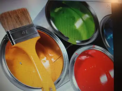 RECHERCHE  15 A 20 $$  A  GALLON PEINTURE  RESTE MOITIÉ, View more