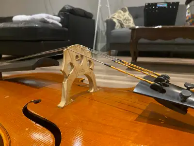 Full-size cello, View more