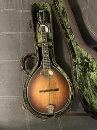 Washburn Mandola