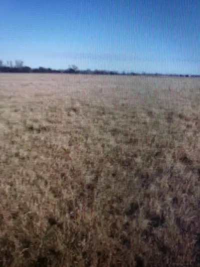 RM of Vanscoy , 40 acres of grass land approximately 15 minutes to saskatoon , power and gas run acr...