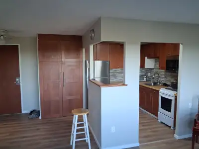 Merival and Meadowlands. Recently renovated, sizeable kichen with 14 linear feet of counter top, bui...