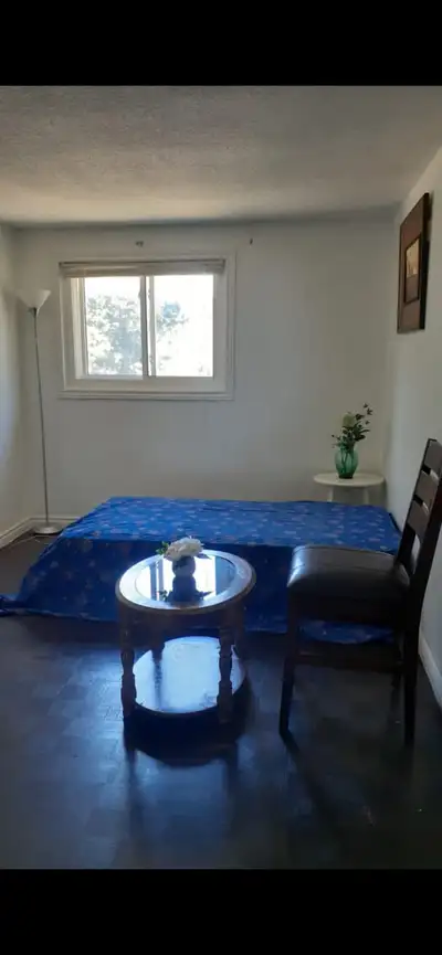 1 fully furnished room for rent