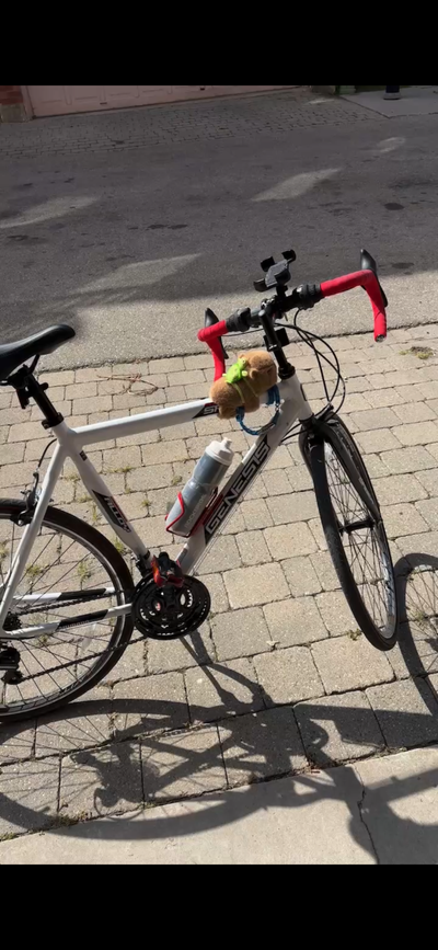 Commute/Road Bike 54 cm, View more