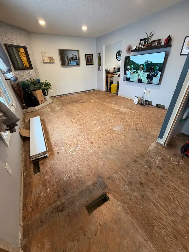 Floor Installation/Repairs559277763588280321