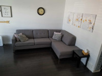 Grey sectional with pullout bed