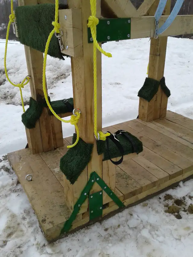 Horse shoeing  stocks in Horses & Ponies for Rehoming in Owen Sound - Image 8
