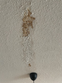 Ceiling repair and Texture!!!!