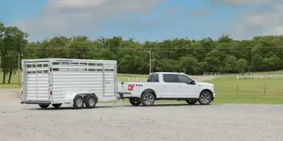 livestock transport , View more