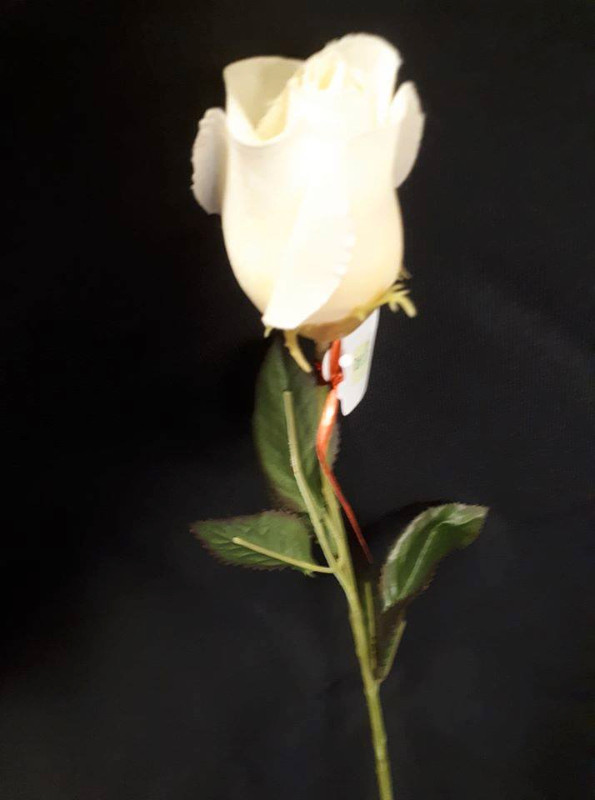 Pale Yellow Artificial Rose in Hobbies & Crafts in Woodstock