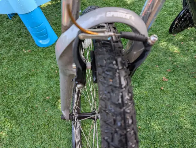 Giant Sedona in Mountain in Strathcona County - Image 6